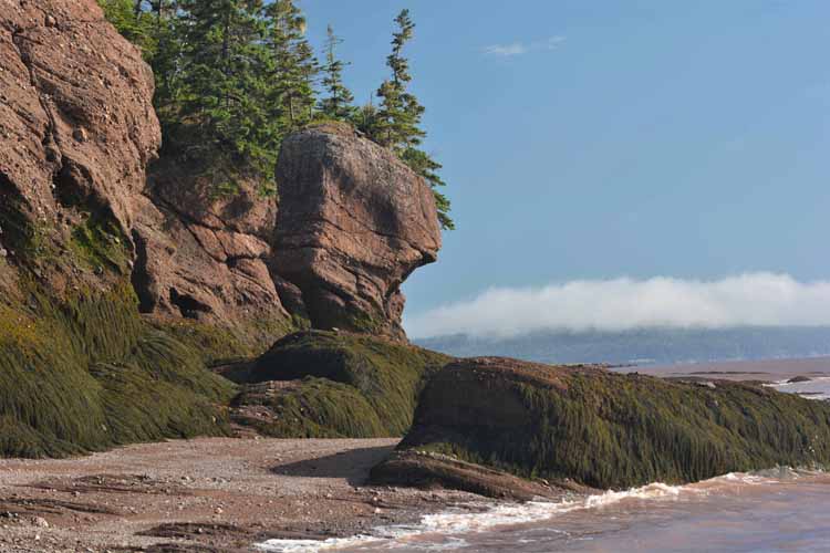 hopewell rocks